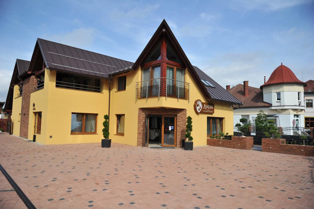 Penzion Anesis - Studia Turčianske Teplice Eksteriør bilde